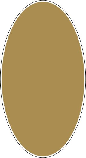 


￼
￼￼



















