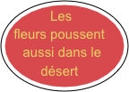 Les fleurs poussent 
    aussi dans le         
    désert