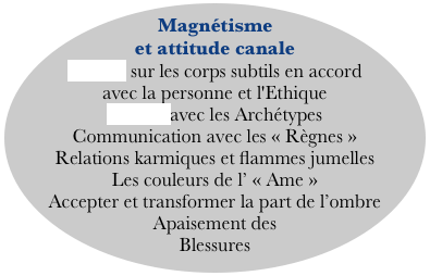 Magnétisme et attitude canale
Travail sur les corps subtils en accord avec la personne et l'Ethique
Travail avec les Archétypes
Communication avec les « Règnes »
Relations karmiques et flammes jumelles
Les couleurs de l’ « Ame »
Accepter et transformer la part de l’ombre
Apaisement des 
Blessures 
